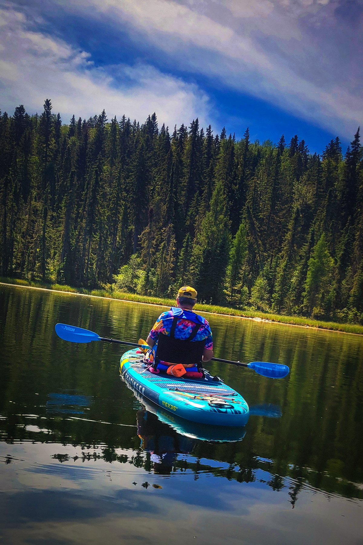 Caught from behind, Twin Lake, Alberta, 2025-08-06