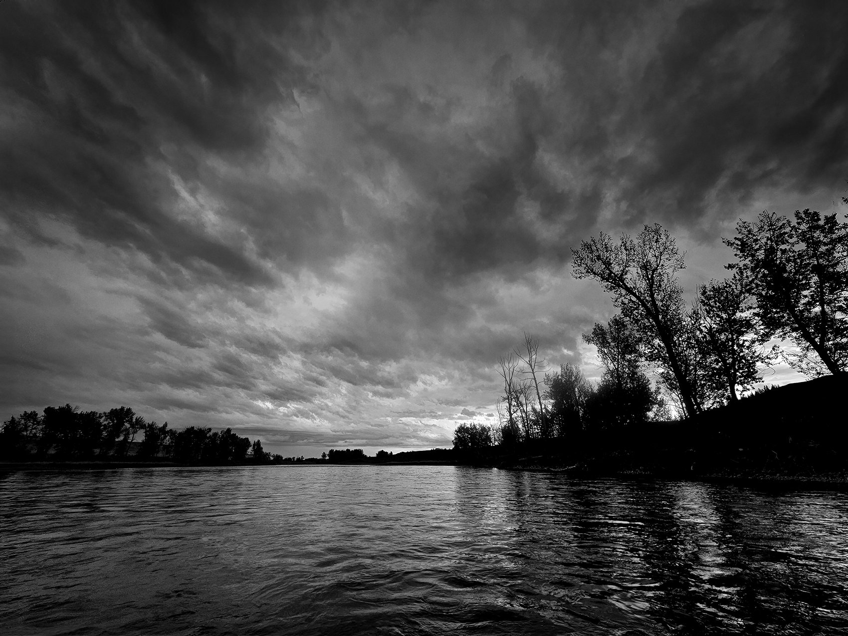 A quick look behind, Bow River Float, Paintearth County, AB, 2024-09-29