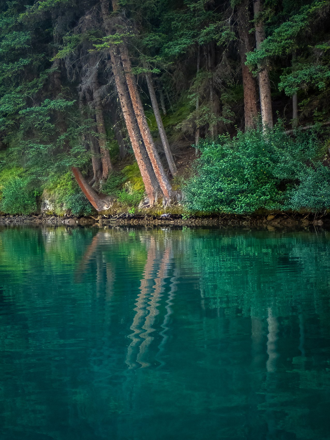 Pause to reflect 02, Two Jack Lake, Banff National Park, Alberta, 2024-09-02