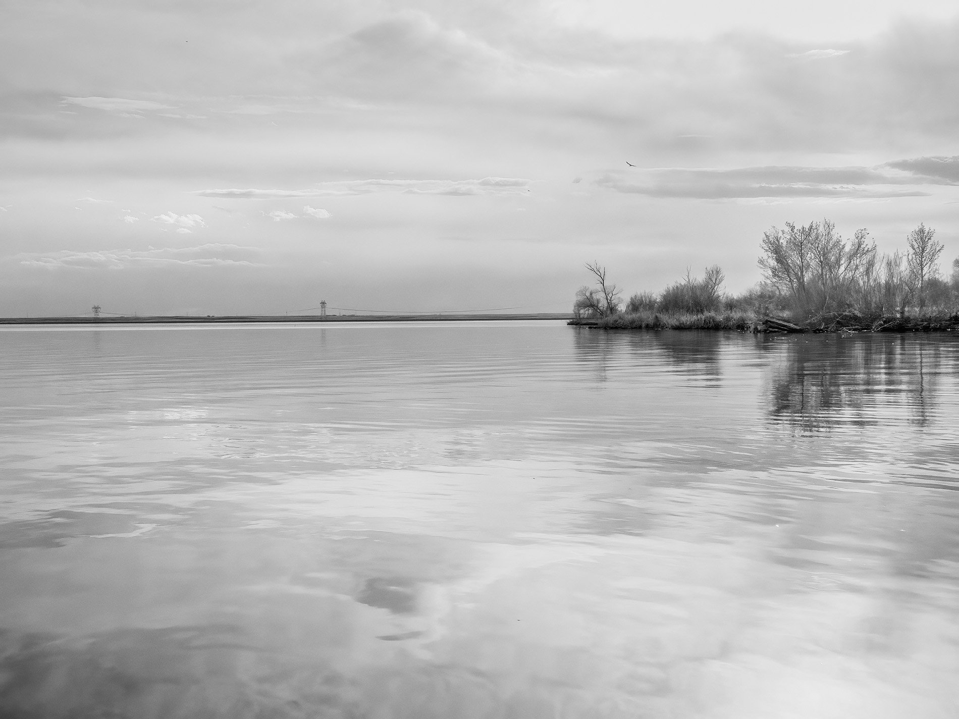 Losing the light to overcast, Prairie Oasis, Special Areas No. 2, AB, 2026-05-19