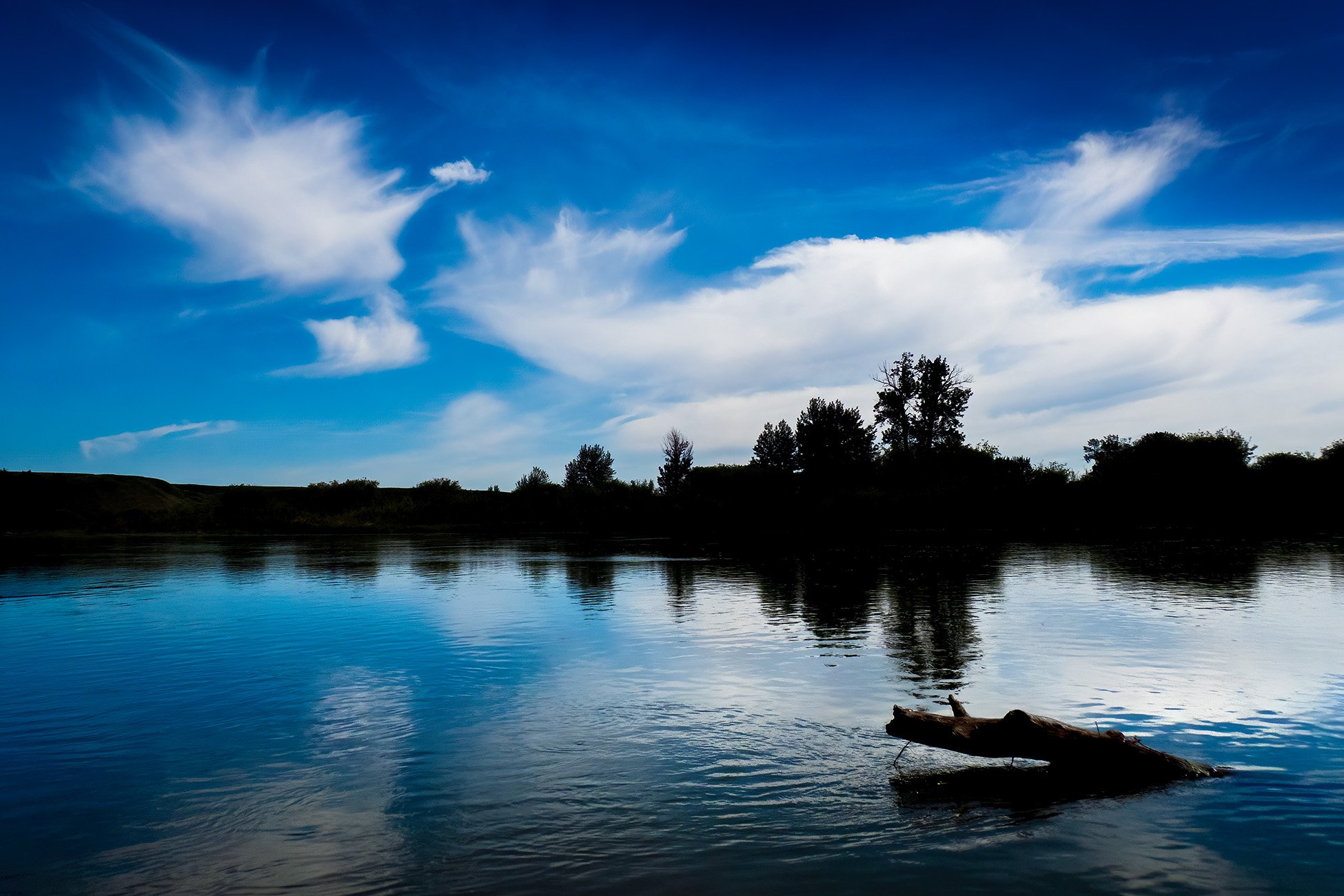 Got dem blues, Johnson's Island, Wyndham Carseland Prov Park, AB, 2025-06-14