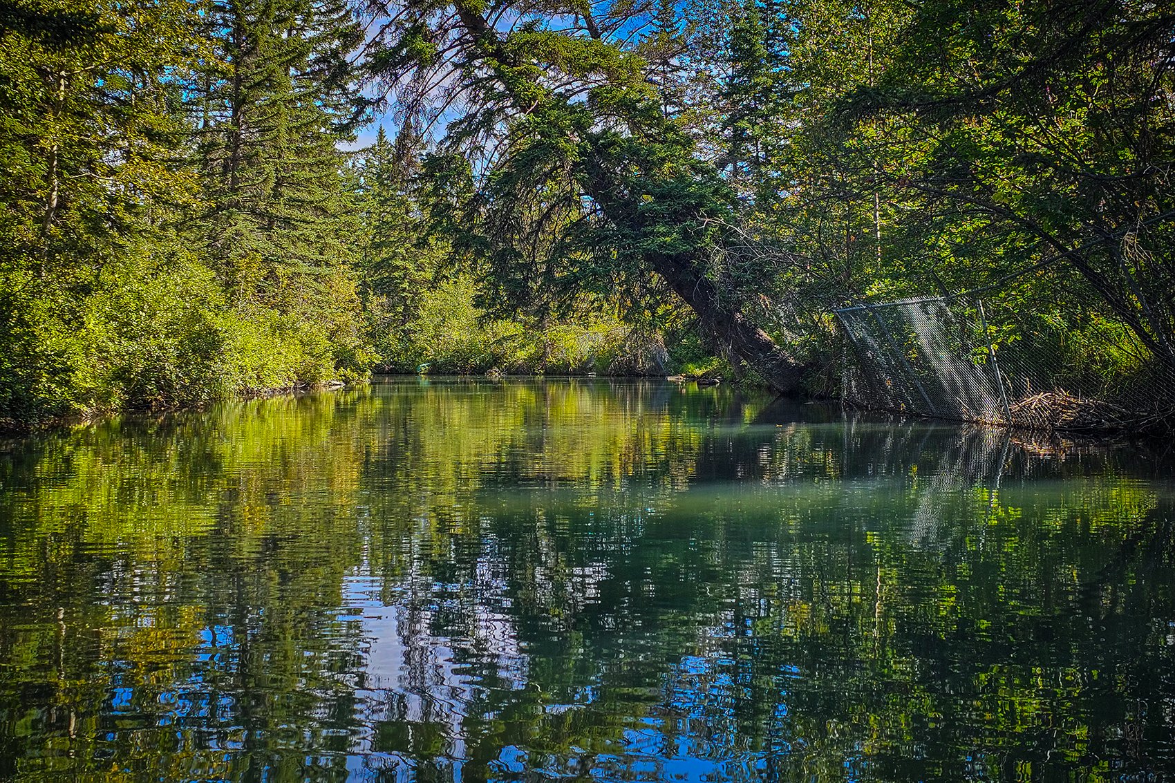 Around the bend, Bowness Park, Calgary, AB, 2024-09-01